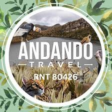 ANDANDO TRAVEL