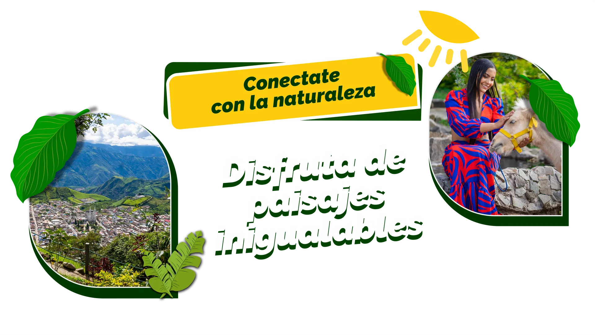 Inicio