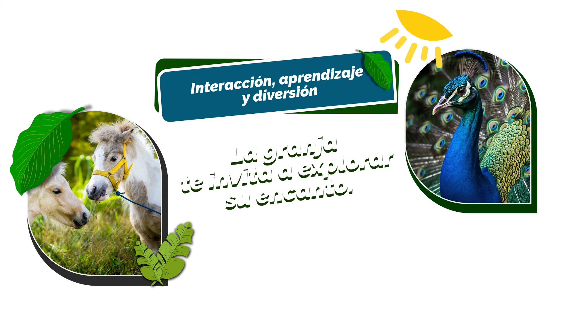 Inicio